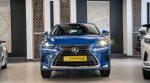 LEXUS NX300