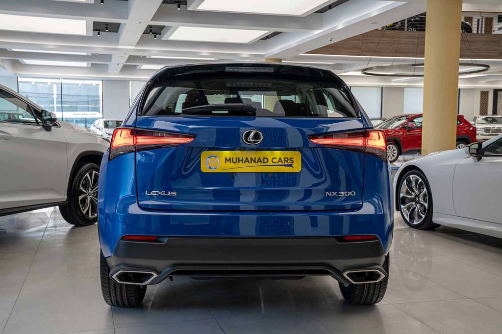 LEXUS NX300